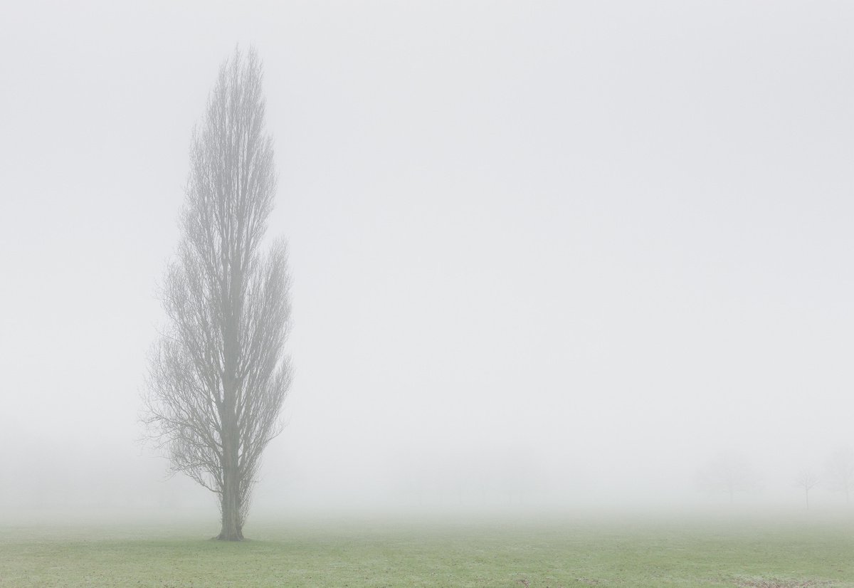 Impressionistic Landscape Photograph By Tom Hanslien, 47 X 33", London Fog Vii, Original Artwork