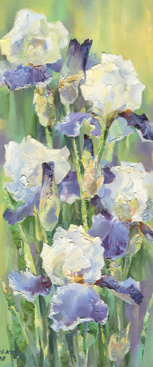 Blue irises (oil on paper) / ORIGINAL painting ~12x20in (30x50cm) by Olha Malko