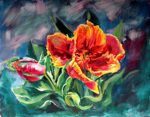 Tulip by Kovács Anna Brigitta