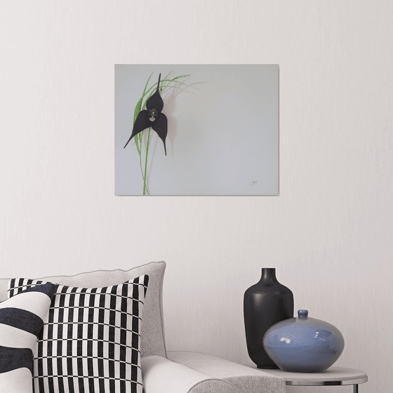 Black Orchid (Ikebana)