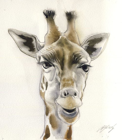 Giraffe portrait by Alfred  Ng