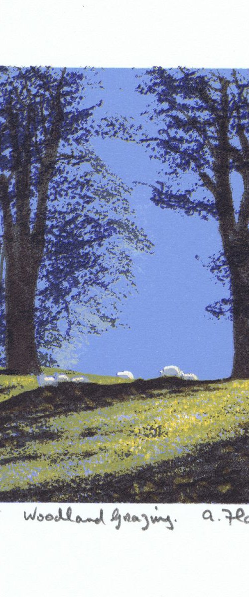 Woodland Grazing by Aidan Flanagan Irish Landscapes