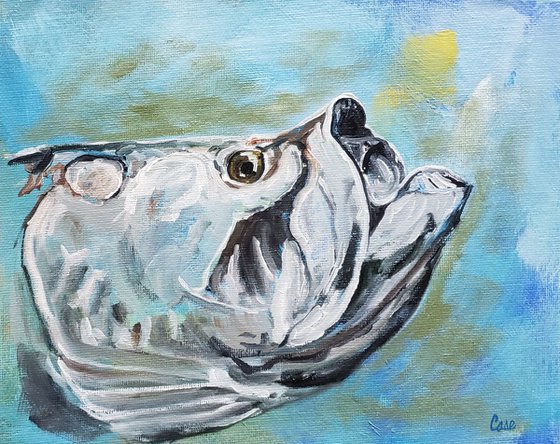 Fishing - Tarpon Study