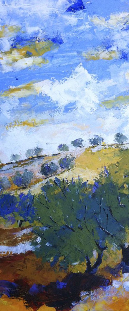 La collina degli ulivi by Alessandro Andreuccetti