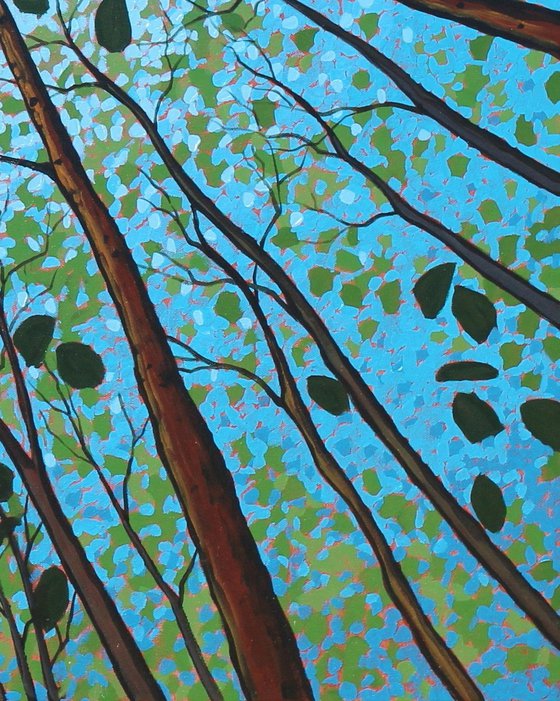 Canopy