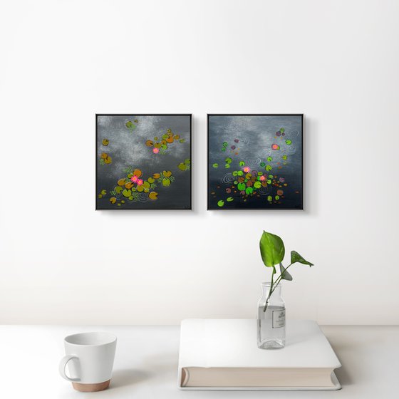 Mini Waterlily ponds
