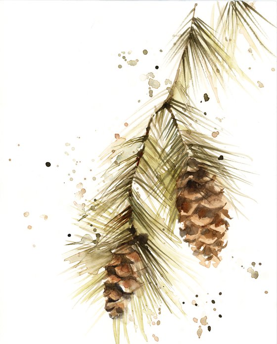 Watercolor Pine Branches Collection Graphic by Hassas Arts