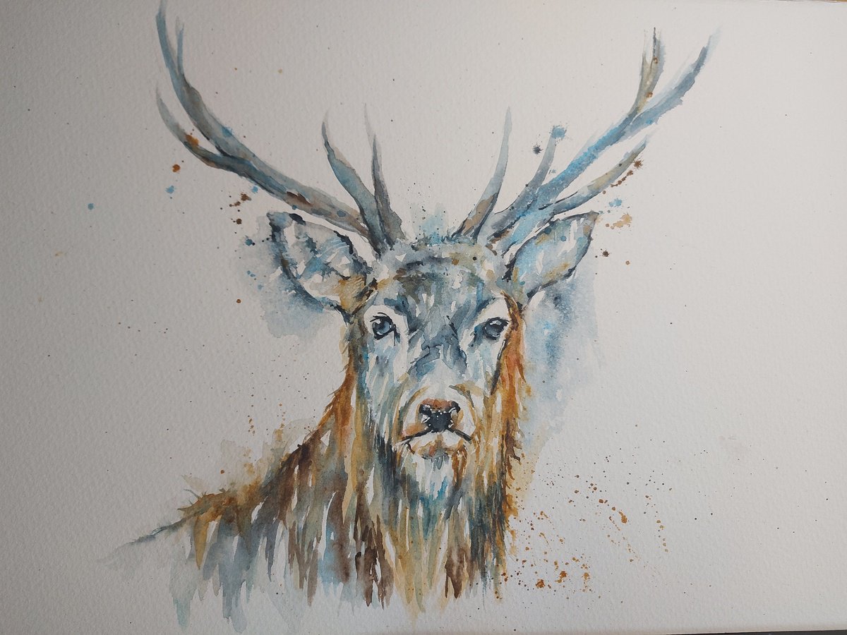 Stag by Sue  Green
