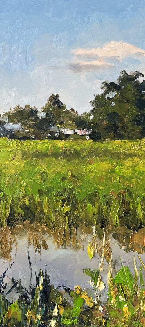 The Rice Fields by Sarawut Donrasri