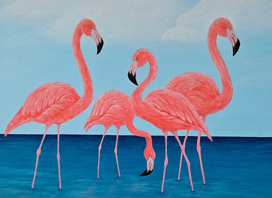 Flamingo Dreams