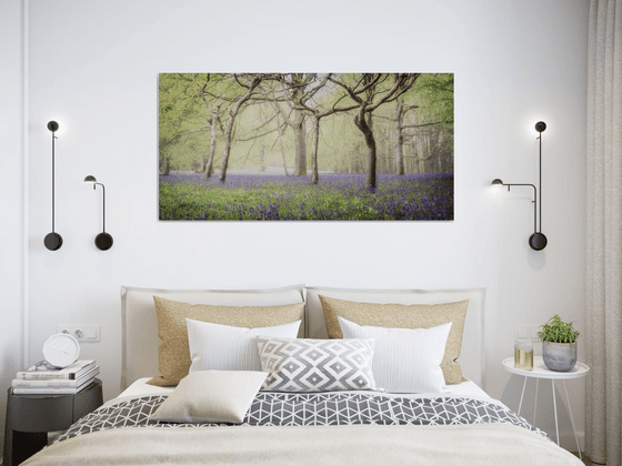 Bluebell Woodland