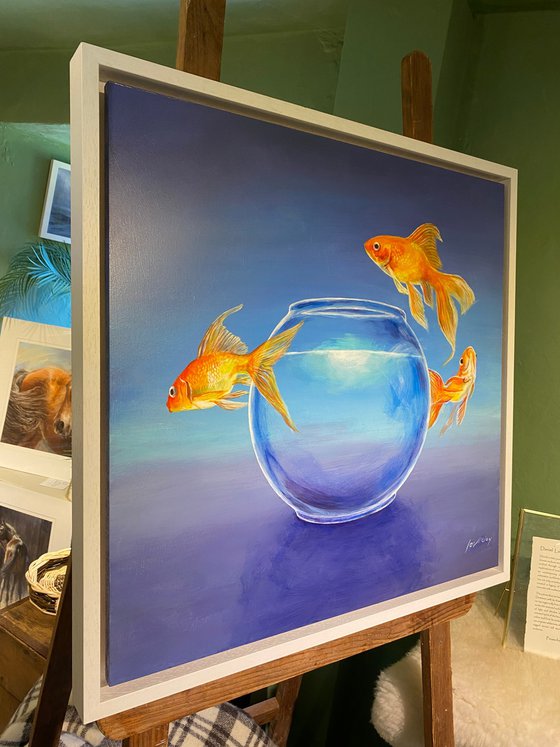 Goldfish LIII