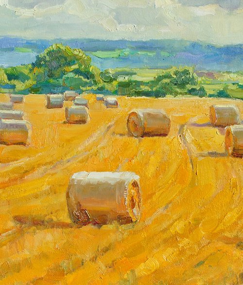 Ovington Harvest by Anna Shevel