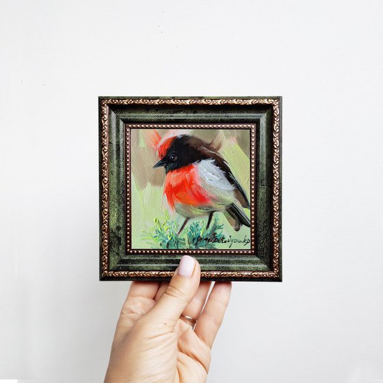 Red-capped Robin bird art painting original in oil, Small picture of birds