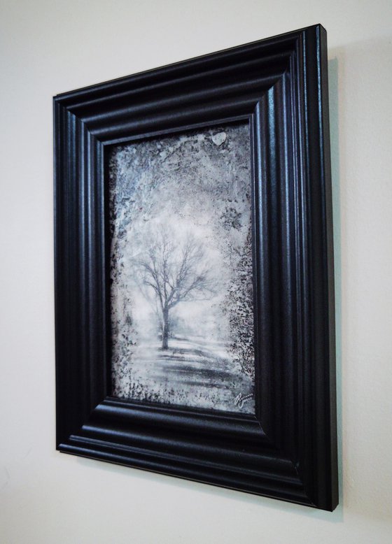 Framed Tree View