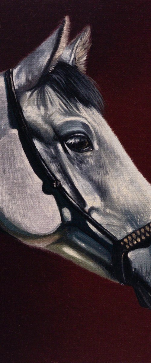 Horse Portrait 34 by Anastasia Parfilo