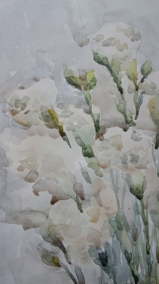 White carnation. Original watercolour painting