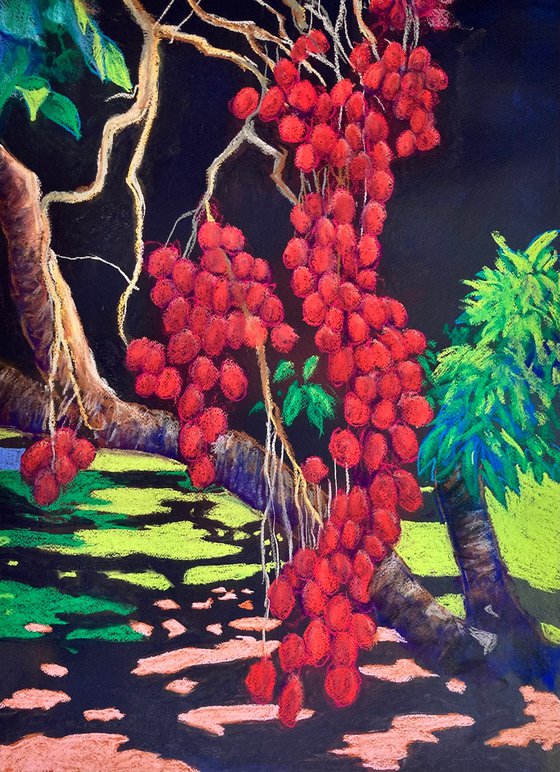 Lychees