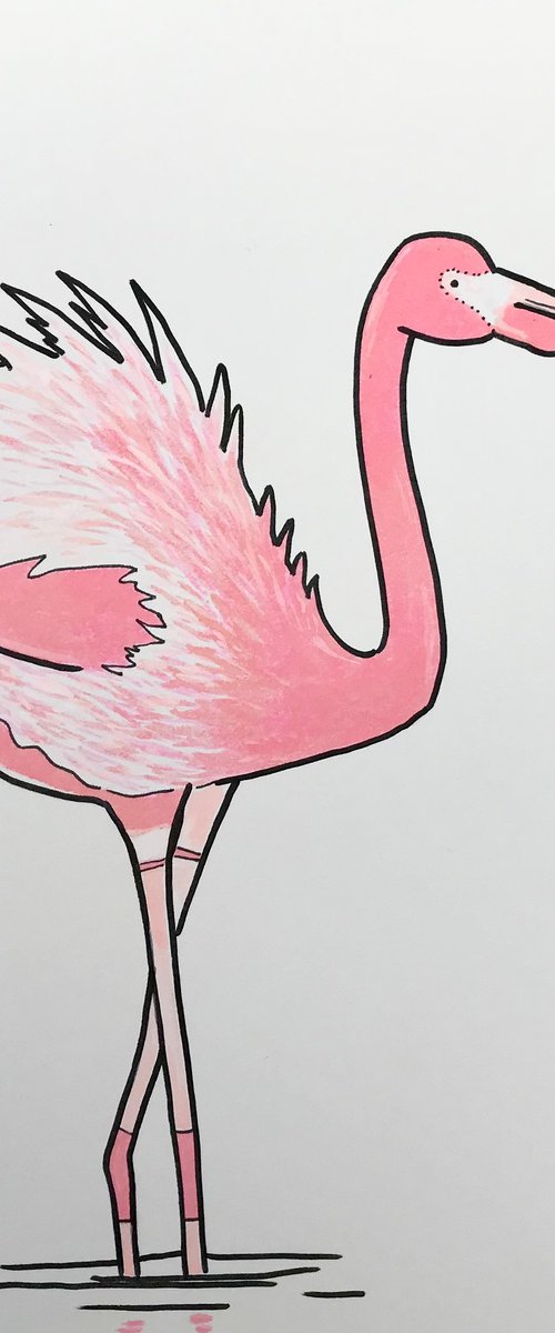 Flamingo by Kitty  Cooper