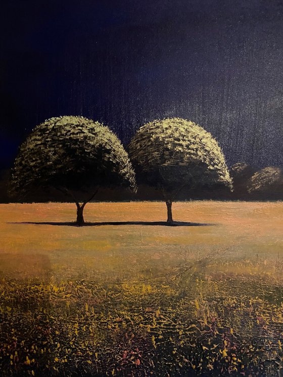 2 Trees in the stillness