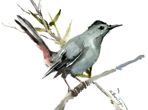 Gray Catbird, Bird artwork by Suren Nersisyan