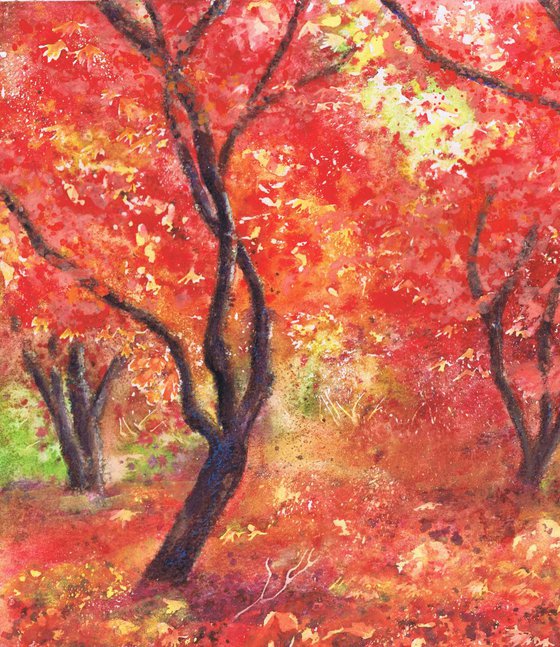 Autumn Trees (Forever Autumn)