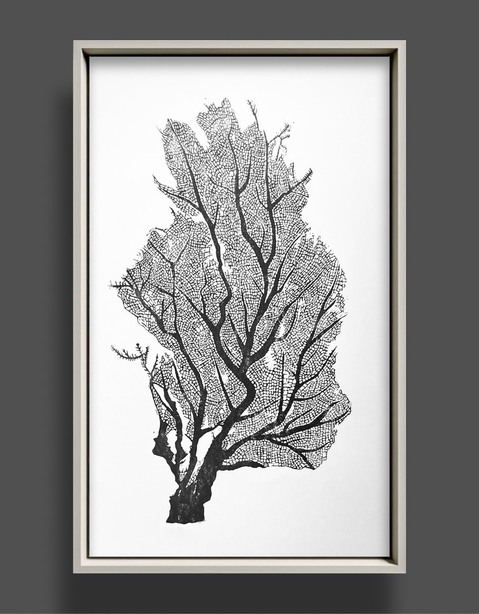 Illustrative Linocut , Sea Fan By Amy Cundall, 18 X 26, Artwork For Sale On Artfinder