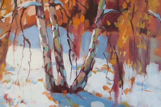 Autumnal Birch Trees