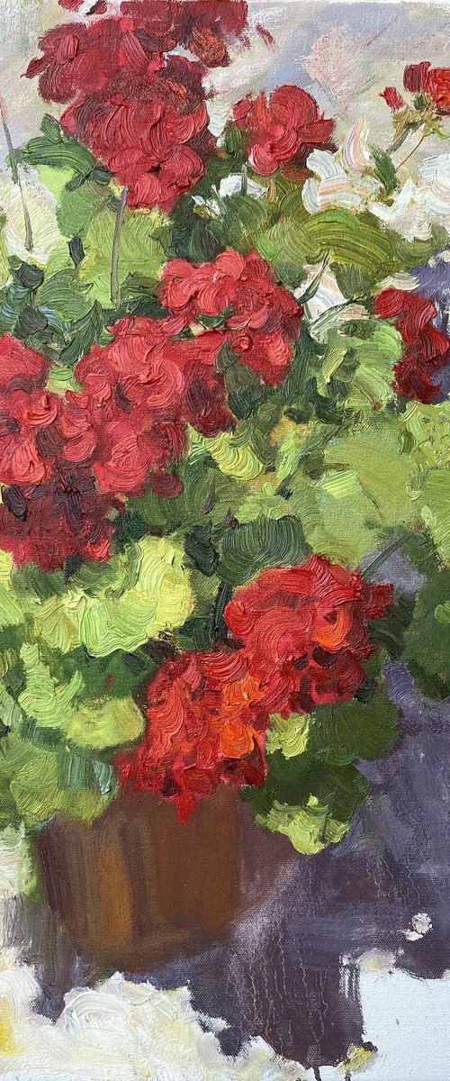 Red Geranium Flowers by Nataliia Nosyk
