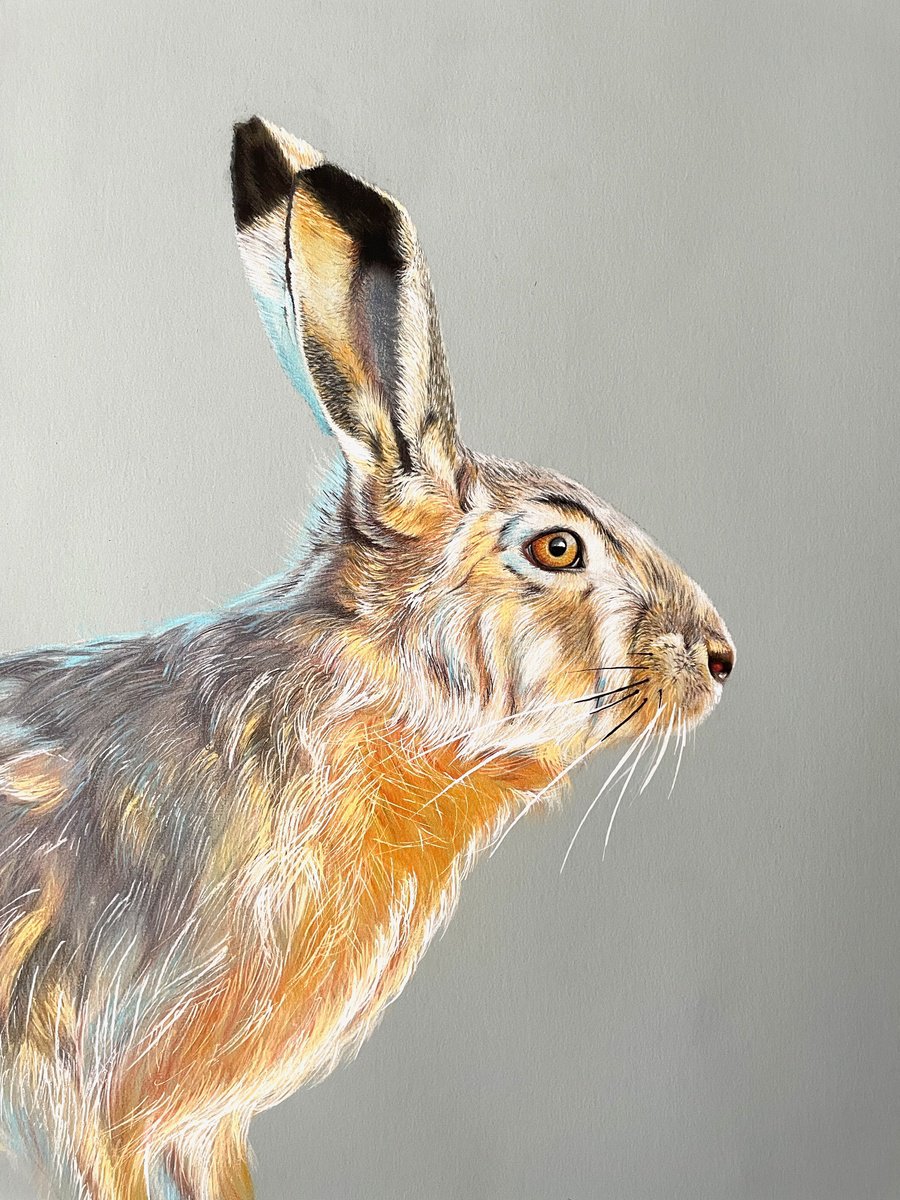 The Hare by Jo P