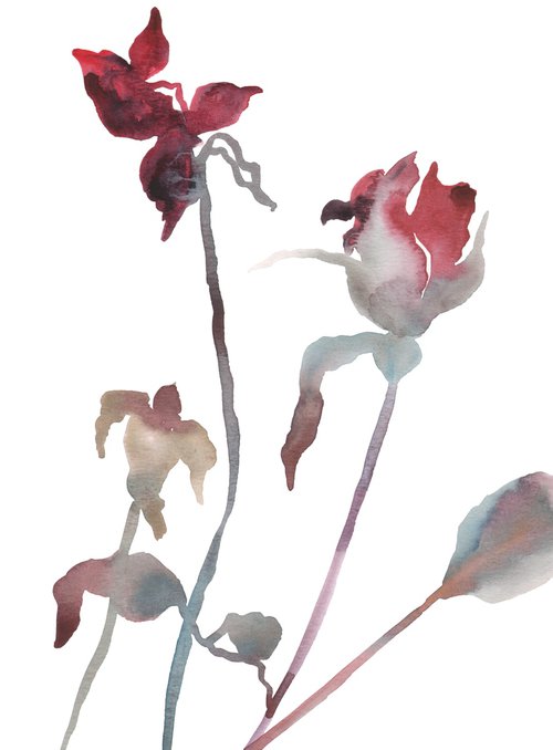 Rose Study No. 11 by Elizabeth Becker