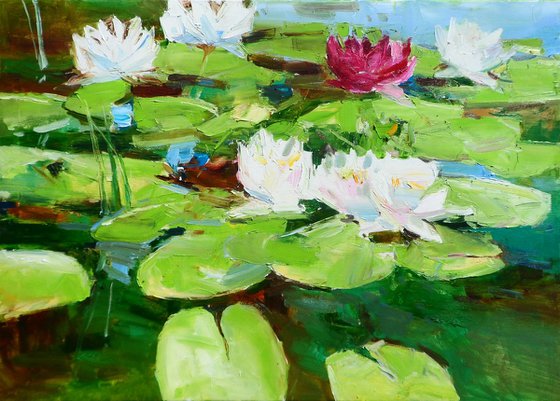 "Water Lilies  "