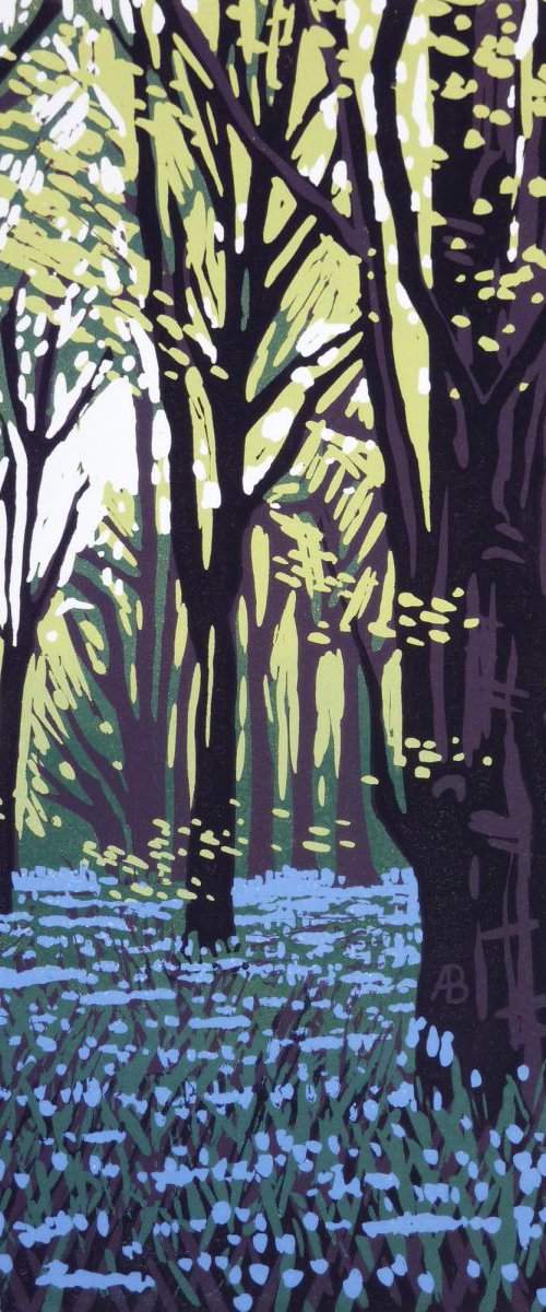 Stoke Wood Bluebells by Alexandra Buckle