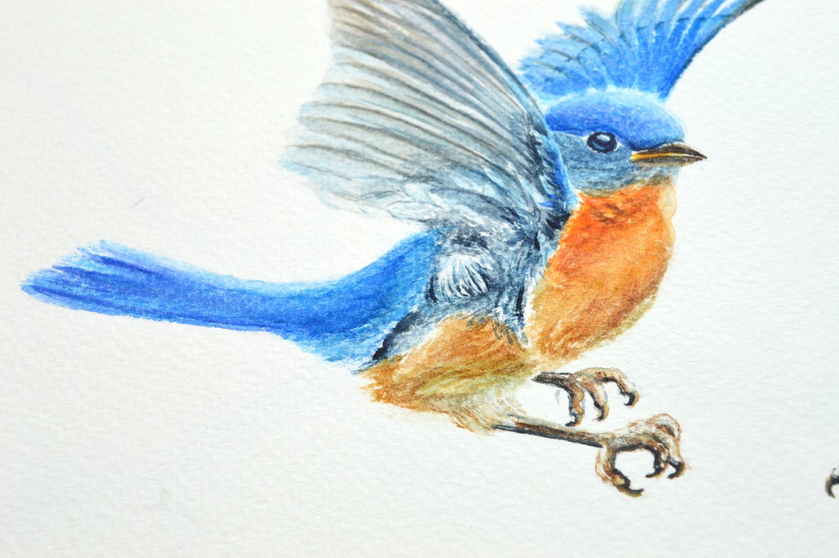flying blue bird drawing