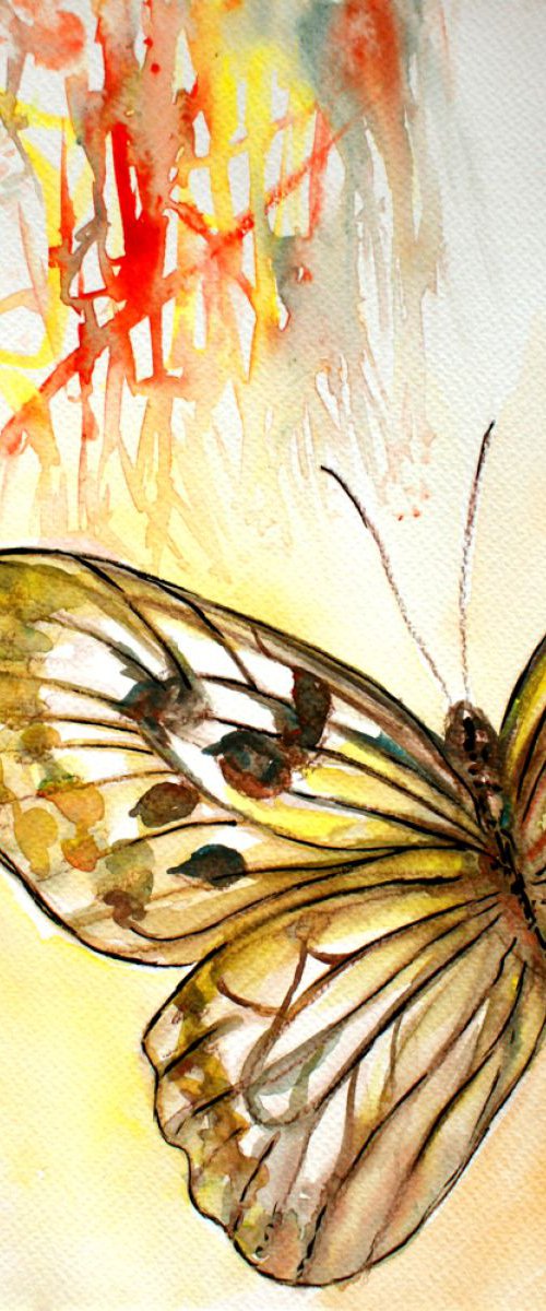 Flight of the Butterfly by Alex Solodov