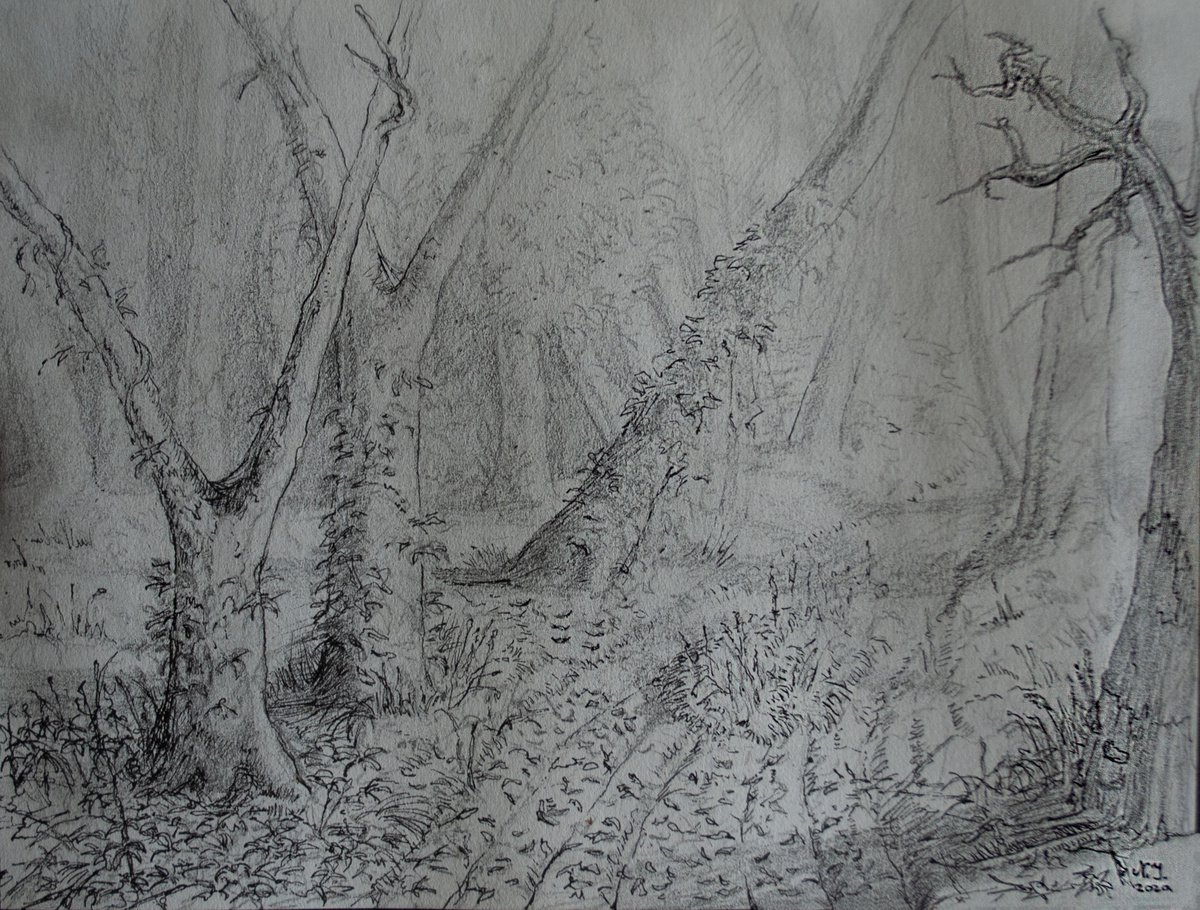 Forest Path I by Nikola Ivanovic