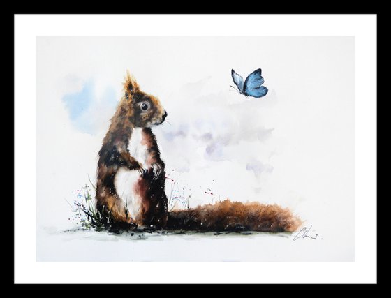 The Squirrel and the Butterfly.