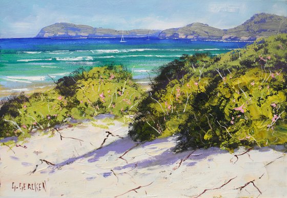 Sandy Beach Dunes