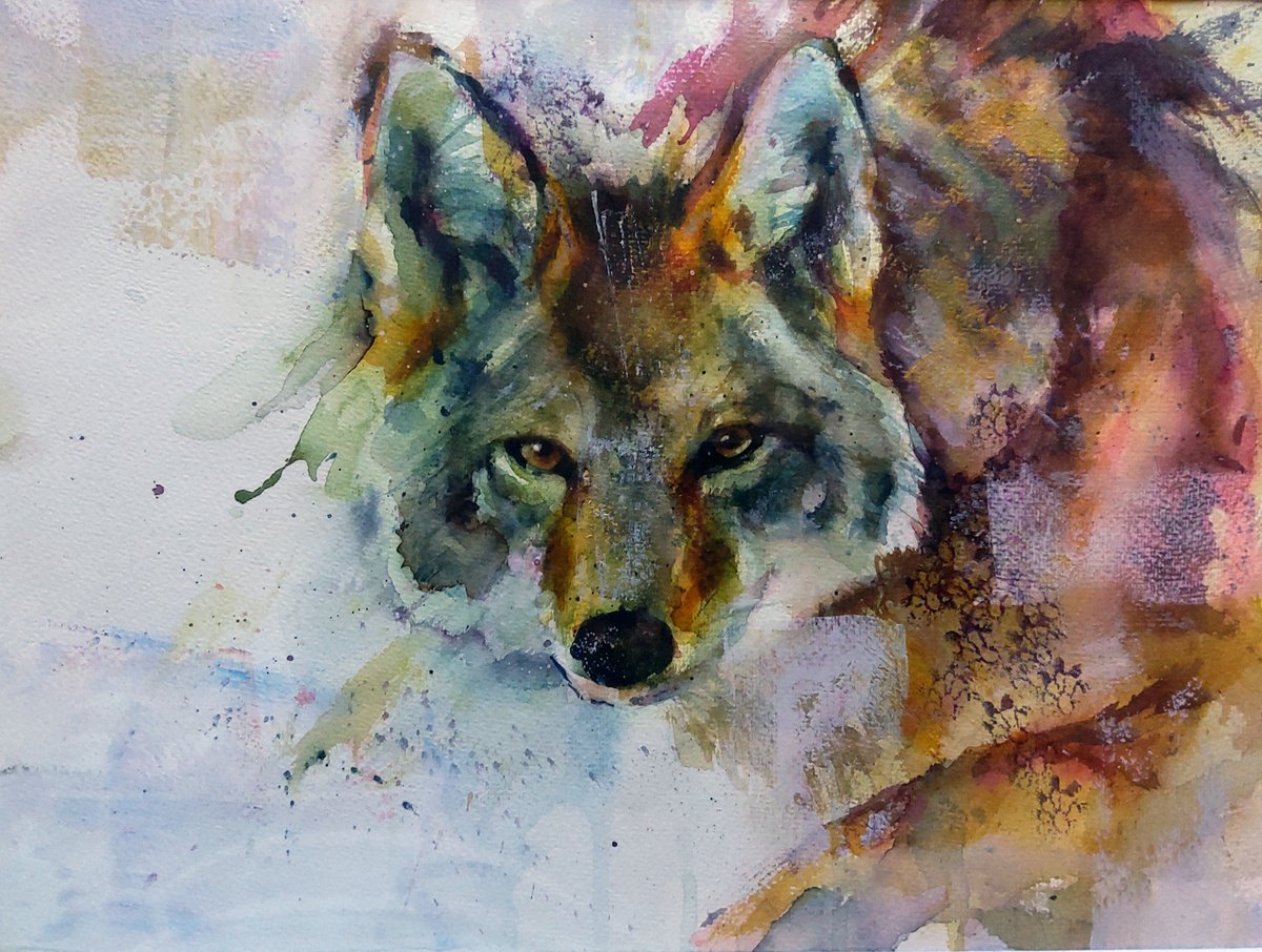 Wolf by Andja Zivadinovic