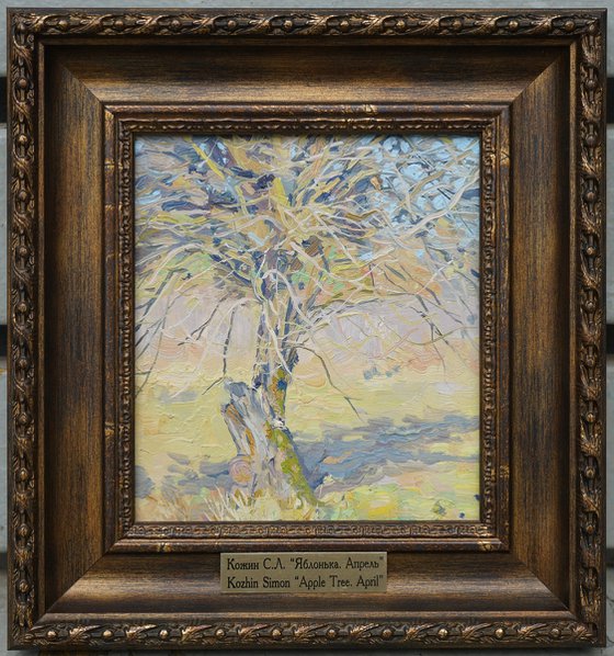 Apple tree. April