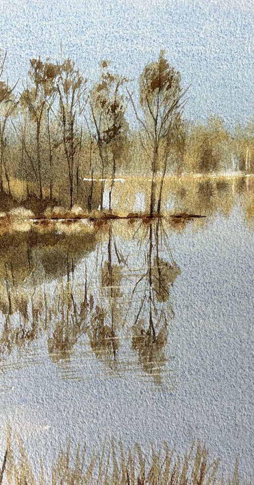 Cold reflections by Alina Karpova