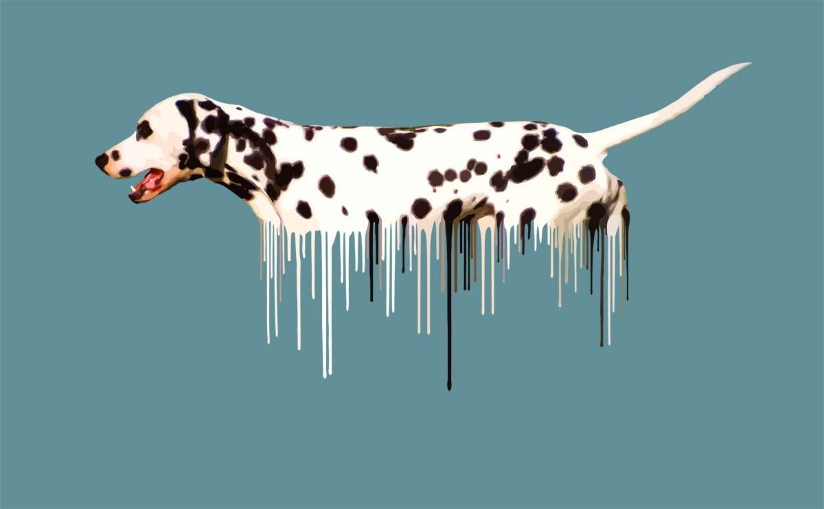 Dalmation by Carl Moore