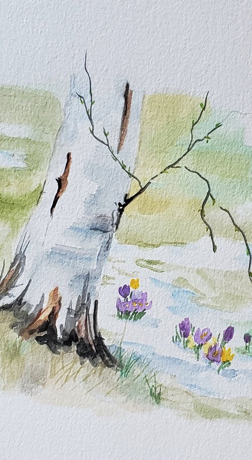 "Spring" - Landscape - Flowers - Birch Tree by Katrina Case