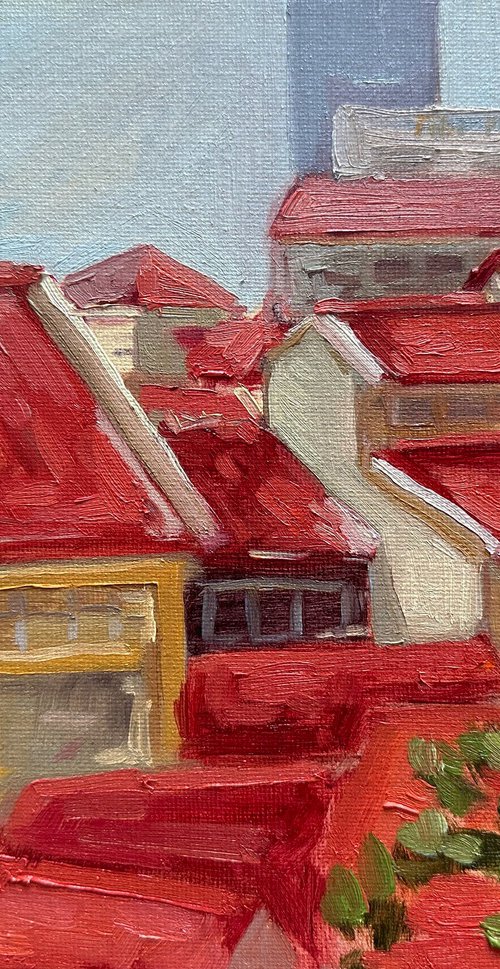 Red tiled roofs by Anna Bogushevskaya