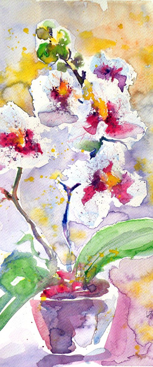 Orchidea by Kovács Anna Brigitta