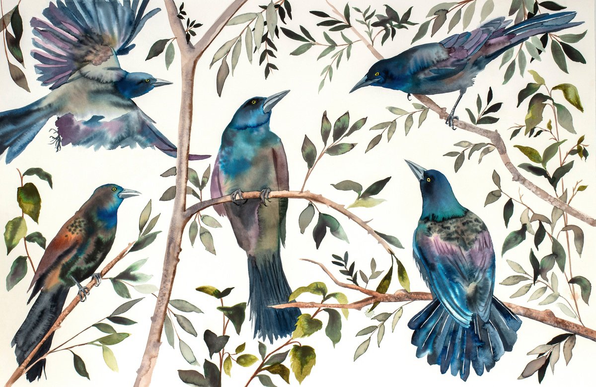 Expressive Animal Watercolour By Elizabeth Becker, 40 X 26, Grackles No. 2, Original Artwork