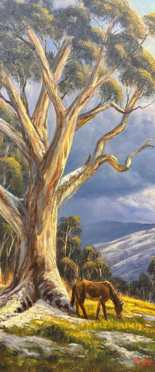 The Last Graze by Christopher Vidal