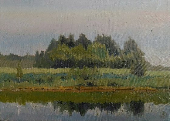 Pond in Borodino