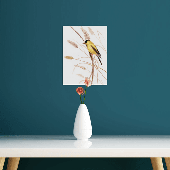 American Goldfinch and Dry Grass