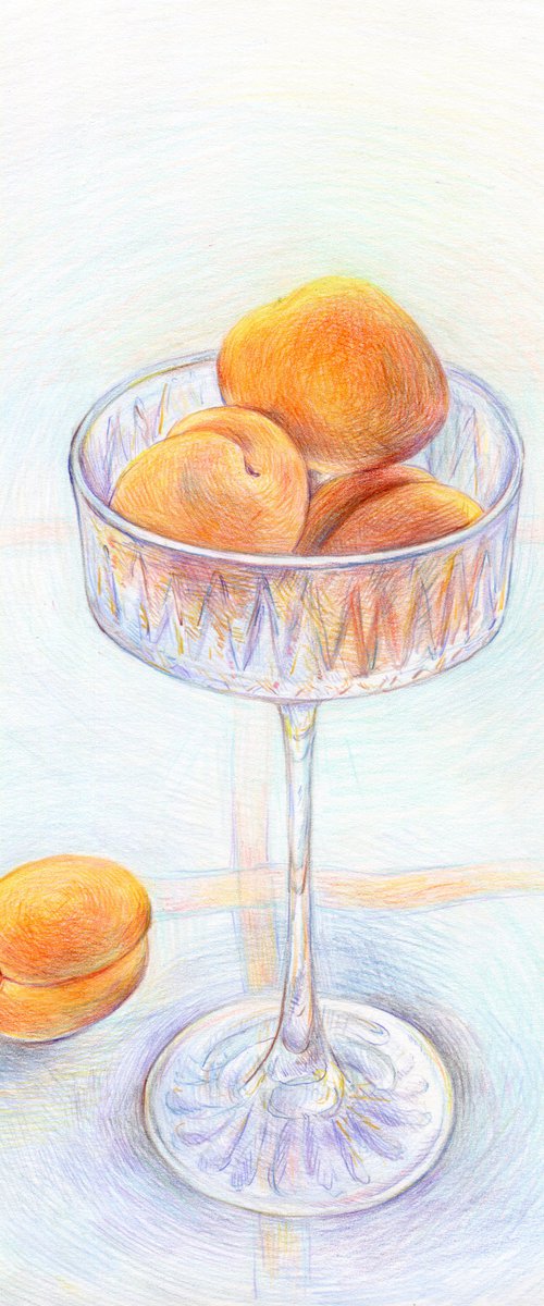 Colored pencils drawing of still life with apricots by Liliya Rodnikova